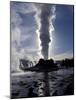 Castle Geyser at Sunrise in Yellowstone National Park, Wyoming, USA-Diane Johnson-Mounted Photographic Print