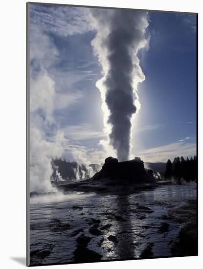 Castle Geyser at Sunrise in Yellowstone National Park, Wyoming, USA-Diane Johnson-Mounted Photographic Print