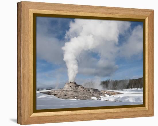 Castle Geyser Erupting in Winter Landscape, Yellowstone National Park, UNESCO World Heritage Site, -Kimberly Walker-Framed Premier Image Canvas