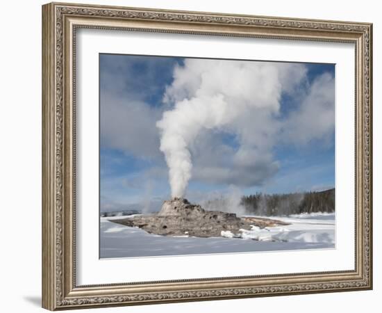 Castle Geyser Erupting in Winter Landscape, Yellowstone National Park, UNESCO World Heritage Site, -Kimberly Walker-Framed Photographic Print