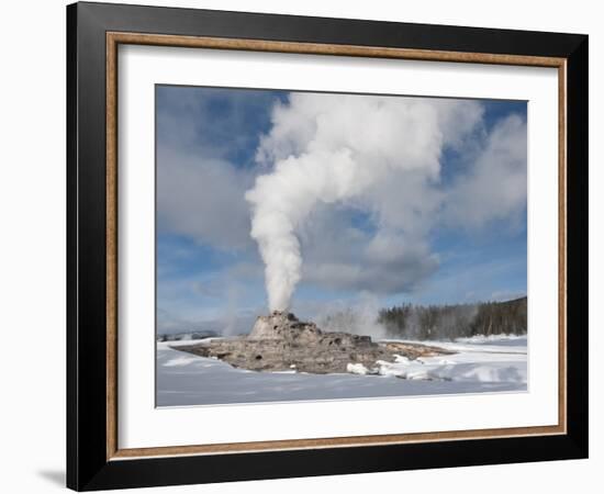 Castle Geyser Erupting in Winter Landscape, Yellowstone National Park, UNESCO World Heritage Site, -Kimberly Walker-Framed Photographic Print