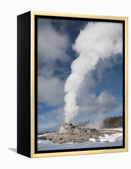 Castle Geyser Erupting in Winter Landscape, Yellowstone National Park, UNESCO World Heritage Site, -Kimberly Walker-Framed Premier Image Canvas