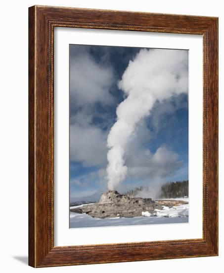 Castle Geyser Erupting in Winter Landscape, Yellowstone National Park, UNESCO World Heritage Site, -Kimberly Walker-Framed Photographic Print