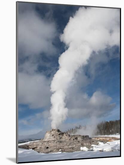 Castle Geyser Erupting in Winter Landscape, Yellowstone National Park, UNESCO World Heritage Site, -Kimberly Walker-Mounted Photographic Print