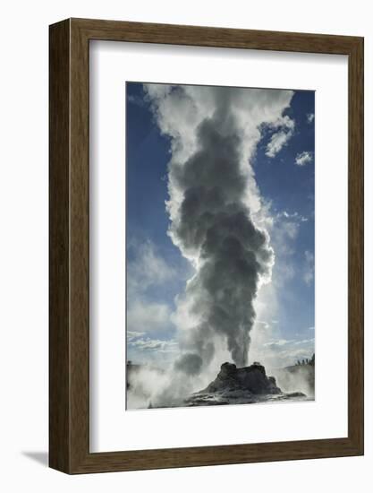 Castle Geyser Erupting, Upper Geyser Basin, Yellowstone National Park, Wyoming-Adam Jones-Framed Photographic Print