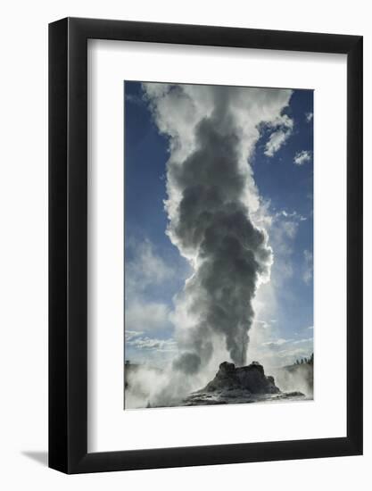 Castle Geyser Erupting, Upper Geyser Basin, Yellowstone National Park, Wyoming-Adam Jones-Framed Photographic Print