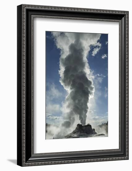 Castle Geyser Erupting, Upper Geyser Basin, Yellowstone National Park, Wyoming-Adam Jones-Framed Photographic Print