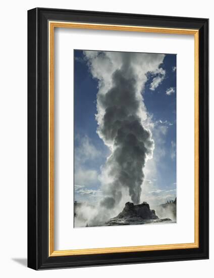 Castle Geyser Erupting, Upper Geyser Basin, Yellowstone National Park, Wyoming-Adam Jones-Framed Photographic Print