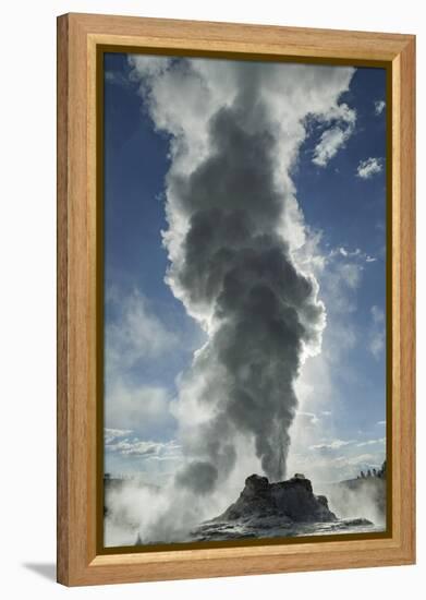 Castle Geyser Erupting, Upper Geyser Basin, Yellowstone National Park, Wyoming-Adam Jones-Framed Premier Image Canvas