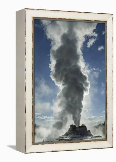 Castle Geyser Erupting, Upper Geyser Basin, Yellowstone National Park, Wyoming-Adam Jones-Framed Premier Image Canvas