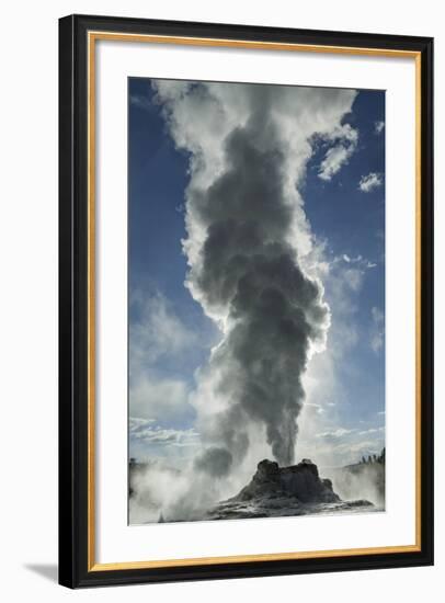 Castle Geyser Erupting, Upper Geyser Basin, Yellowstone National Park, Wyoming-Adam Jones-Framed Photographic Print