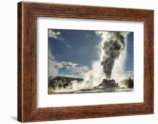 Castle Geyser erupting, Upper Geyser Basin, Yellowstone National Park, Wyoming-Adam Jones-Framed Photographic Print