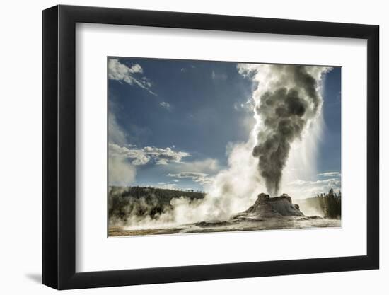 Castle Geyser erupting, Upper Geyser Basin, Yellowstone National Park, Wyoming-Adam Jones-Framed Photographic Print