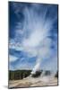 Castle Geyser,Yellowstone National Park-Bryan Jolley-Mounted Photographic Print