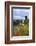 Castle Gutenfels High Above the Rhine, Autumn, on the Bottom Left the Town Kaub-Uwe Steffens-Framed Photographic Print