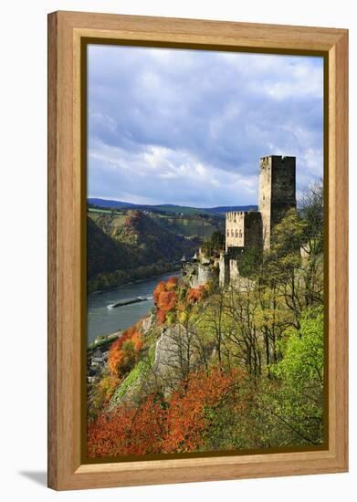 Castle Gutenfels High Above the Rhine, Autumn, on the Bottom Left the Town Kaub-Uwe Steffens-Framed Premier Image Canvas