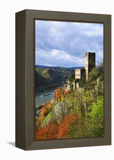 Castle Gutenfels High Above the Rhine, Autumn, on the Bottom Left the Town Kaub-Uwe Steffens-Framed Premier Image Canvas