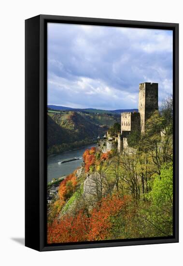 Castle Gutenfels High Above the Rhine, Autumn, on the Bottom Left the Town Kaub-Uwe Steffens-Framed Premier Image Canvas