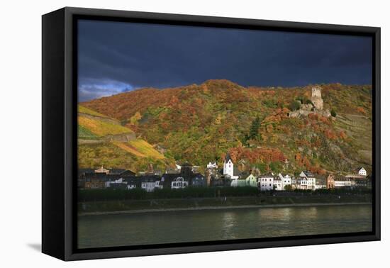 Castle Gutenfels High over the River Rhine, Autumn-Uwe Steffens-Framed Premier Image Canvas