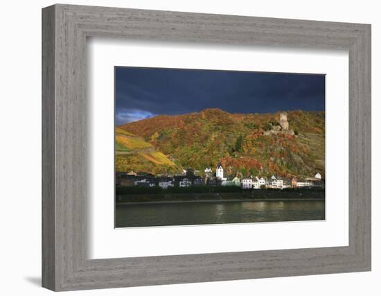 Castle Gutenfels High over the River Rhine, Autumn-Uwe Steffens-Framed Photographic Print