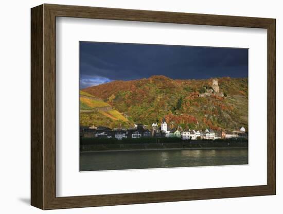 Castle Gutenfels High over the River Rhine, Autumn-Uwe Steffens-Framed Photographic Print