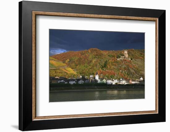 Castle Gutenfels High over the River Rhine, Autumn-Uwe Steffens-Framed Photographic Print