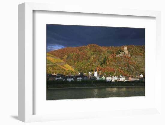 Castle Gutenfels High over the River Rhine, Autumn-Uwe Steffens-Framed Photographic Print