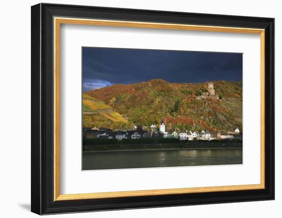 Castle Gutenfels High over the River Rhine, Autumn-Uwe Steffens-Framed Photographic Print