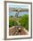 Castle Hill Funicular, Budapest, Hungary-Miva Stock-Framed Photographic Print