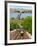 Castle Hill Funicular, Budapest, Hungary-Miva Stock-Framed Photographic Print