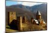 Castle in the Countryside of Tbilisi, the Republic of Georgia, Central Asia, Asia-Laura Grier-Mounted Photographic Print