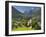 Castle, Luz-Saint-Sauveur, Midi-Pyrenees, France-Doug Pearson-Framed Photographic Print