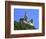 Castle Marksburg, Braubach, Germany-Miva Stock-Framed Photographic Print