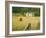 Castle Menzies/Weem, Perthshire, Scotland-Kathy Collins-Framed Photographic Print