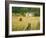 Castle Menzies/Weem, Perthshire, Scotland-Kathy Collins-Framed Photographic Print