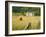 Castle Menzies/Weem, Perthshire, Scotland-Kathy Collins-Framed Photographic Print