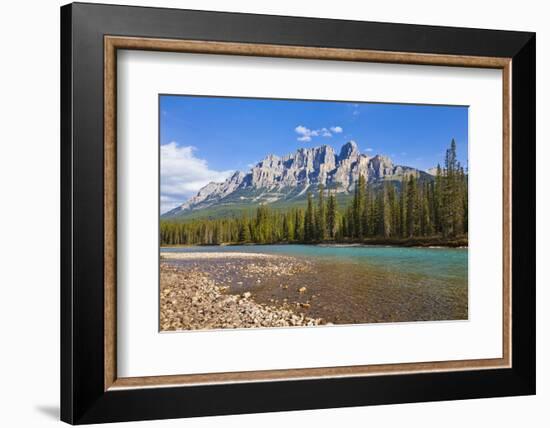 Castle Mountain Behind the Bow River at Castle Junction-Neale Clark-Framed Photographic Print