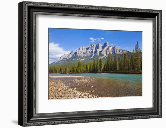 Castle Mountain Behind the Bow River at Castle Junction-Neale Clark-Framed Photographic Print