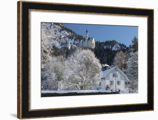 Castle Neuschwanstein, Schwangau, Allgau, Bavarians, Germany-Rainer Mirau-Framed Photographic Print