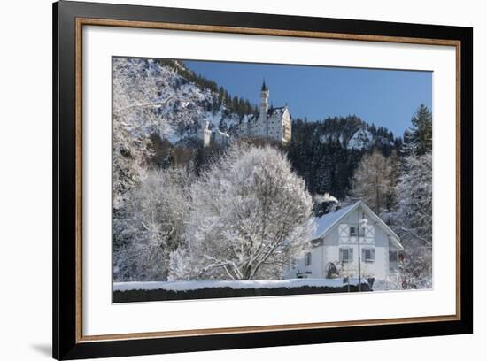 Castle Neuschwanstein, Schwangau, Allgau, Bavarians, Germany-Rainer Mirau-Framed Photographic Print