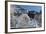 Castle Neuschwanstein, Schwangau, Allgau, Bavarians, Germany-Rainer Mirau-Framed Photographic Print