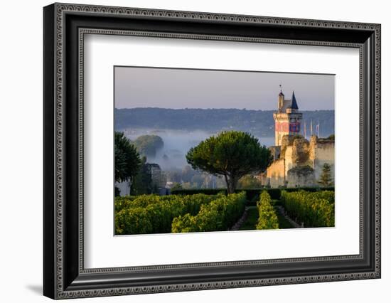 Castle of Chinon Among the Vineyards, Chinon, Indre Et Loire, Centre, France-Nathalie Cuvelier-Framed Photographic Print
