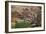 Castle of San Servando, Toledo-Joaquín Sorolla y Bastida-Framed Art Print