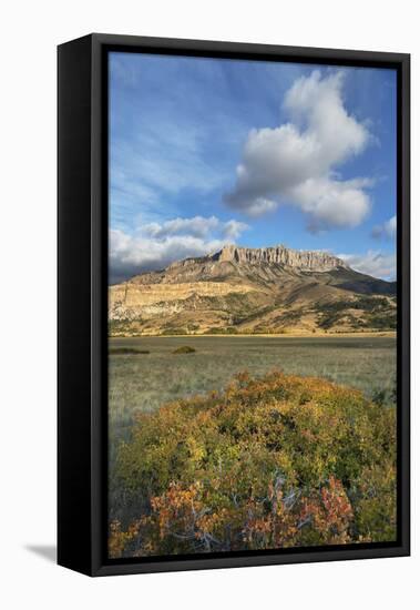 Castle Reef Mountain. Rocky Mountain front ranges near Augusta, Montana.-Alan Majchrowicz-Framed Premier Image Canvas