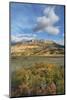 Castle Reef Mountain. Rocky Mountain front ranges near Augusta, Montana.-Alan Majchrowicz-Mounted Photographic Print