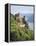 Castle Rheinstein, Rhineland-Pfalz, Germany-Walter Bibikow-Framed Premier Image Canvas