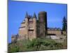 Castle, Rhine River, Germany-David Herbig-Mounted Photographic Print