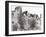 Castle Ruins at Hay on Wye, 2007-Vincent Alexander Booth-Framed Giclee Print