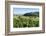 Castle Sitzenberg and Vineyards, Austria-Volker Preusser-Framed Photographic Print