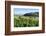 Castle Sitzenberg and Vineyards, Austria-Volker Preusser-Framed Photographic Print